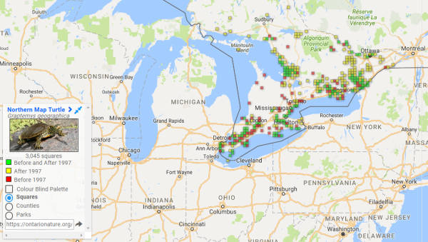 Distribuzione in Ontario della Graptemys geographica