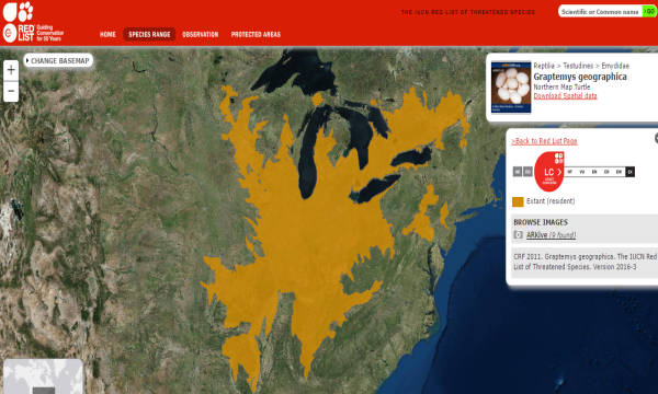 Distribuzione Northern Map secondo la IUCN Red List