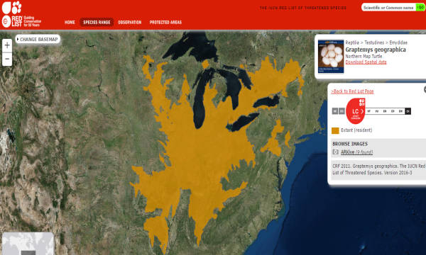 Distribuzione Northern Map secondo la IUCN Red List