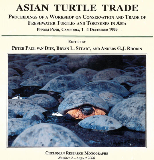 Tartarughe d'acqua dolce asiatiche Tartarughe asiatiche in via di estinzione