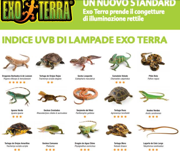 Indice UVB delle lampade Exo TErra Indice UVB Lampade per Rettili e Tartarughe
