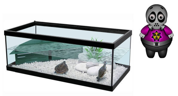Acqua tartarughiera tartaruga acquatica puzza