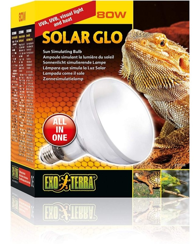 Lampade per tartaruga Miglior Lampada per Tartarughe