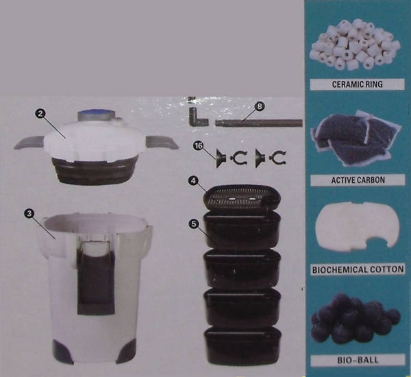 Ordine dei materiali filtranti nel filtro Corretto filtraggio dell'acqua nella tartarughiera