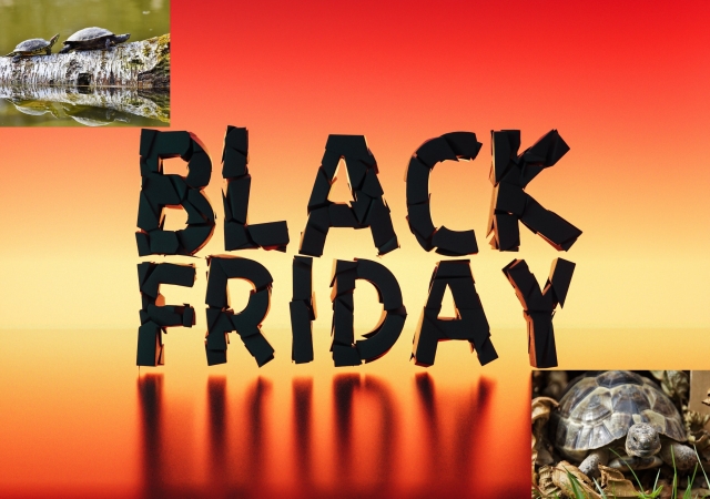 Arrivano le promo per tartarughe Tartarughe Black Friday sconti
