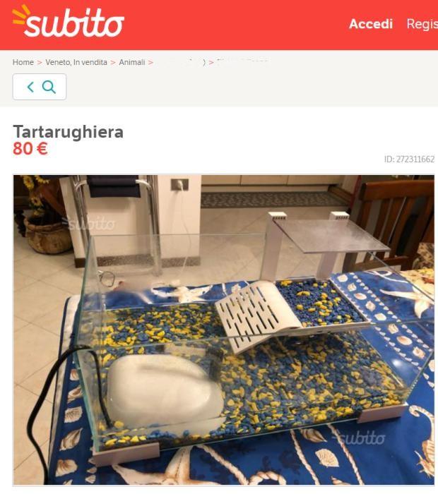 Tartarughiera usata su subito.it Tartarughiera completa usata