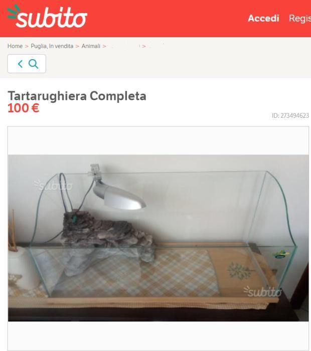 Tartarughiera 80 x 35 cm Tartarughiera usata grande