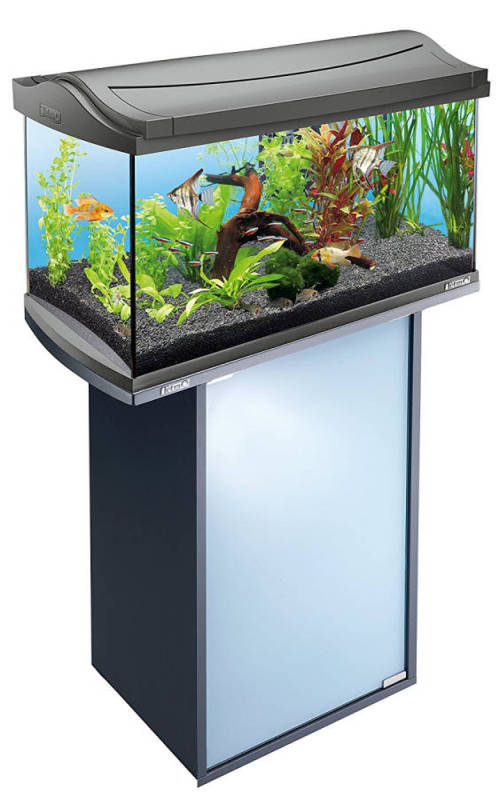 Complementi arredo per tartarughiera Mobili per tartarughiera
