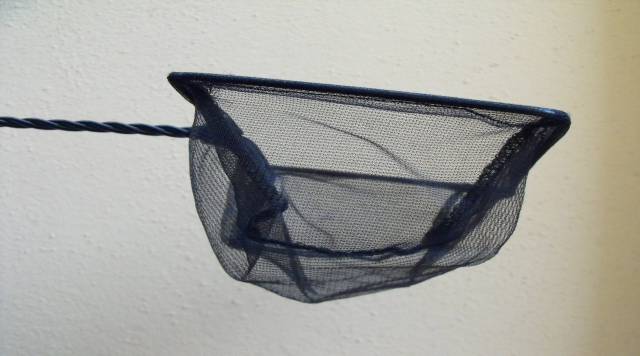 Retino per la pulizia dell'acqua e igiene della tartaruga