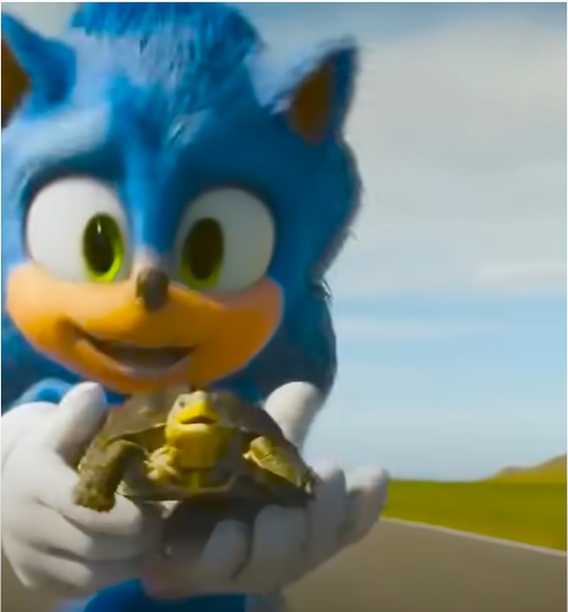 Sonic 2 e tartaruga Sonic 2 salva tartaruga