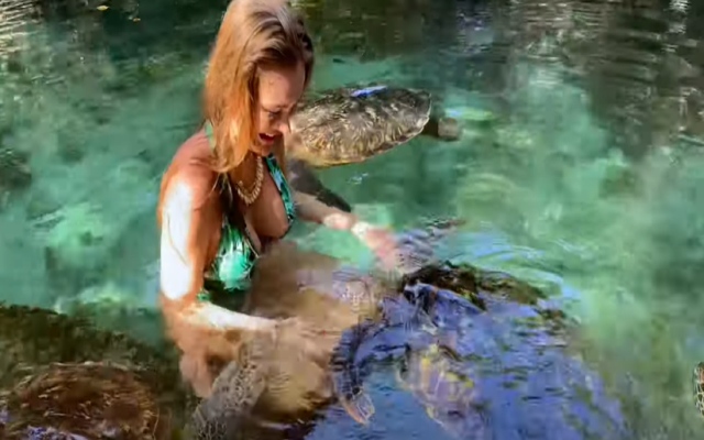 Bellissima donna nuota con tartarughe marine a Zanzibar