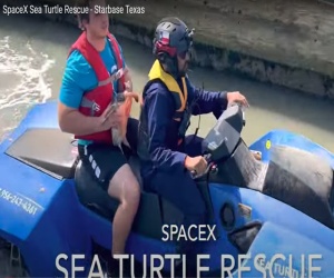 SpaceX e Starship salvano tartarughe marine