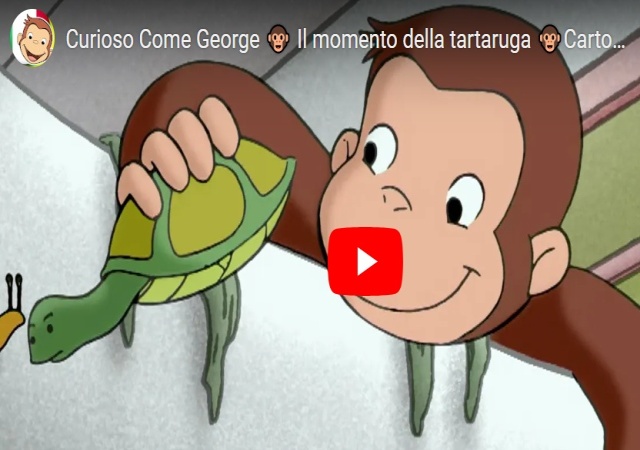 George la scimmia con la sua tartaruga Video Tartarughe Cartone animato George e Tartaruga